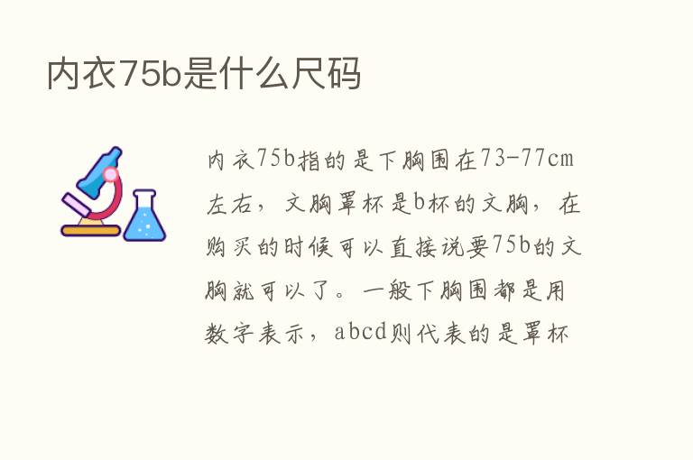 内衣75b是什么尺码