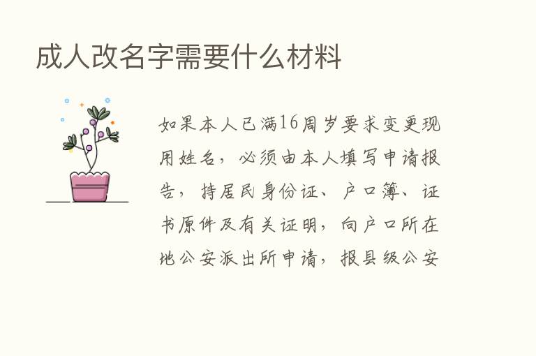 成人改名字需要什么材料