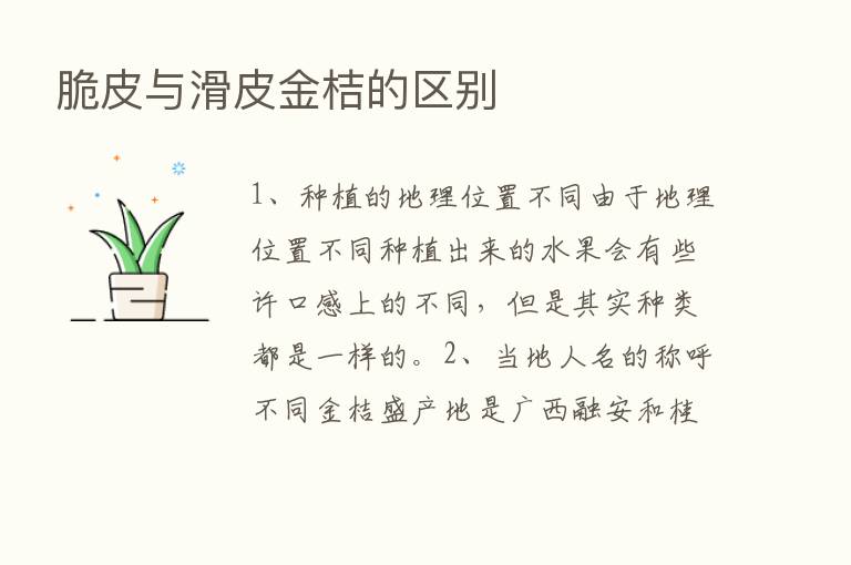 脆皮与滑皮金桔的区别