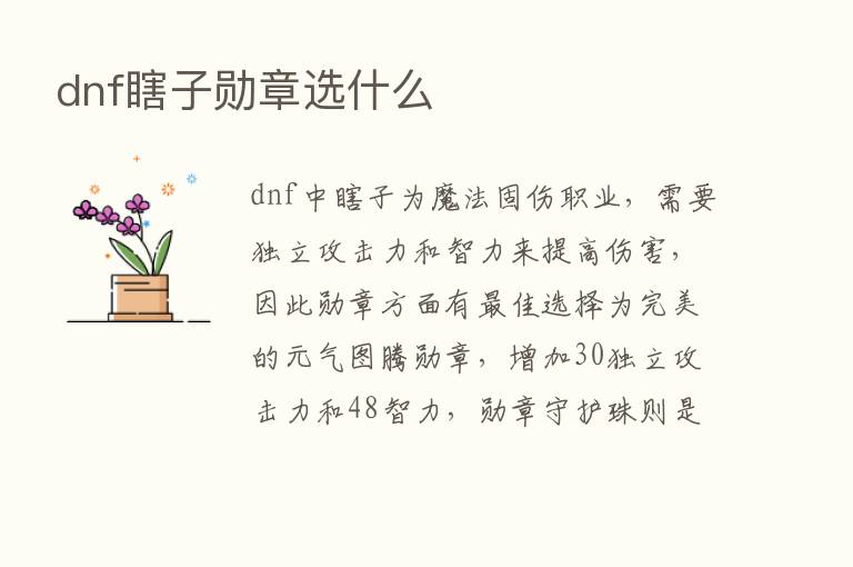 dnf瞎子勋章选什么