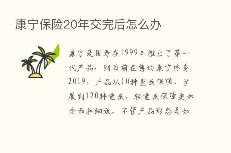 康宁      20年交完后怎么办