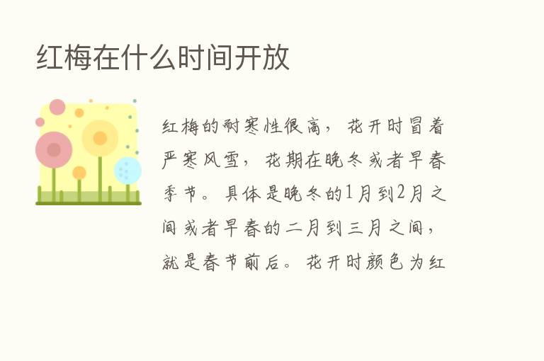 红梅在什么时间开放