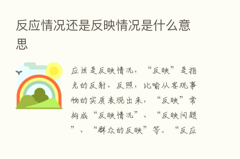 反应情况还是反映情况是什么意思