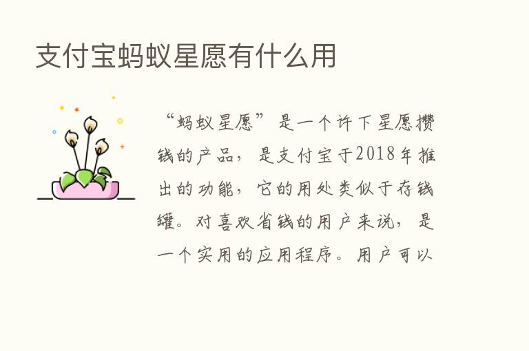 支付宝蚂蚁星愿有什么用