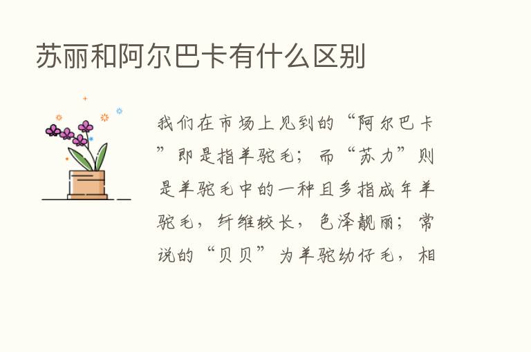 苏丽和阿尔巴卡有什么区别