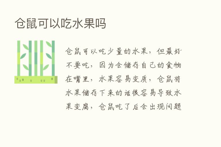 仓鼠可以吃水果吗