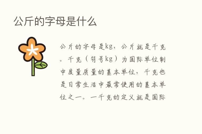 公斤的字母是什么