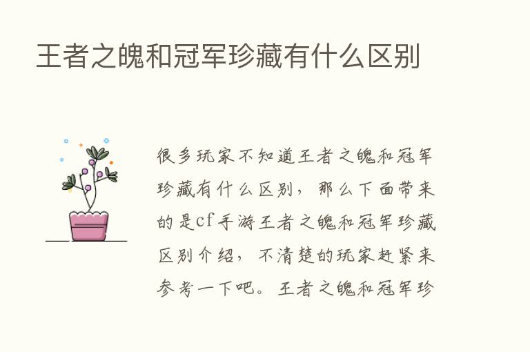 王者之魄和冠军珍藏有什么区别