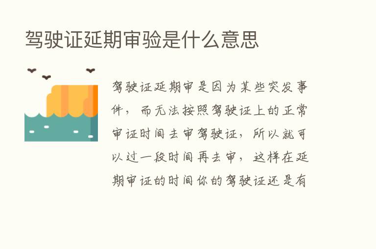 驾驶证延期审验是什么意思