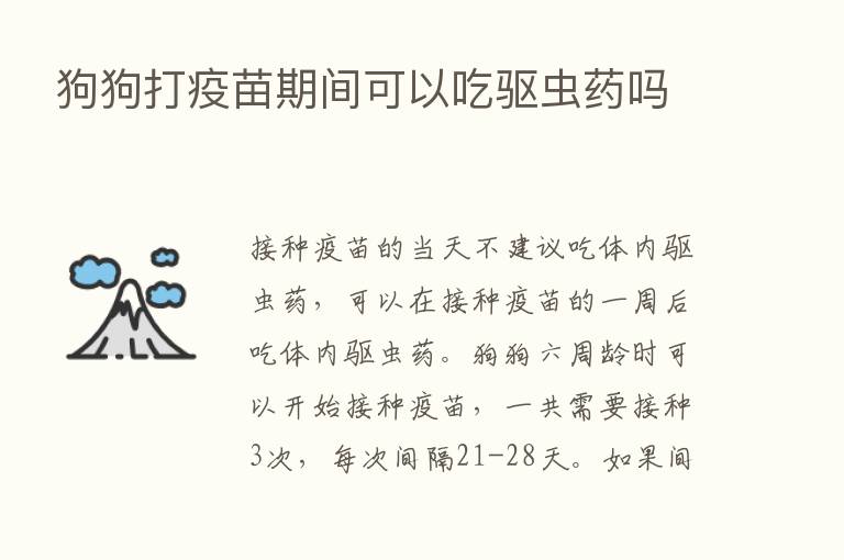 狗狗打疫苗期间可以吃驱虫药吗