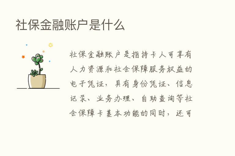 社保金融账户是什么