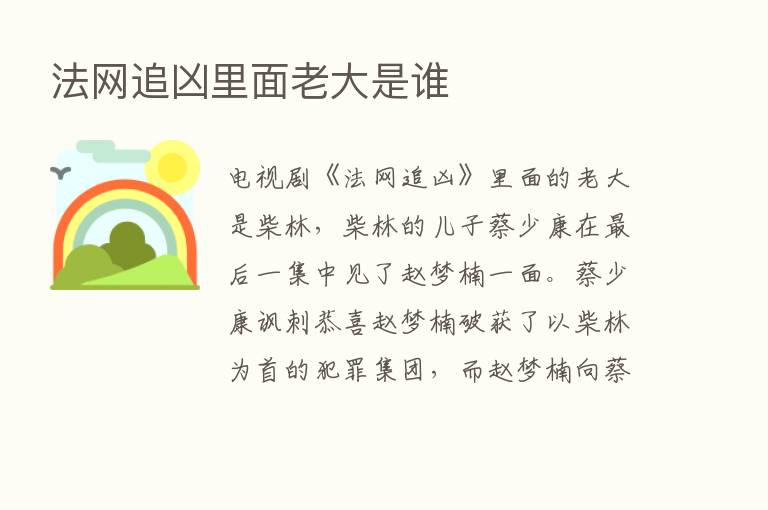 法网追凶里面老大是谁