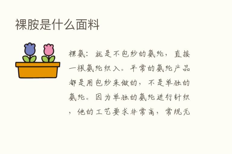 裸胺是什么面料