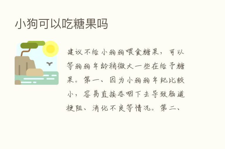 小狗可以吃糖果吗