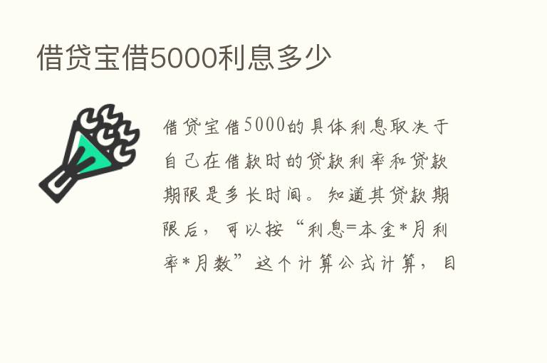 借贷宝借5000利息多少