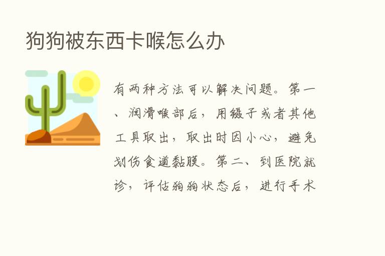 狗狗被东西卡喉怎么办