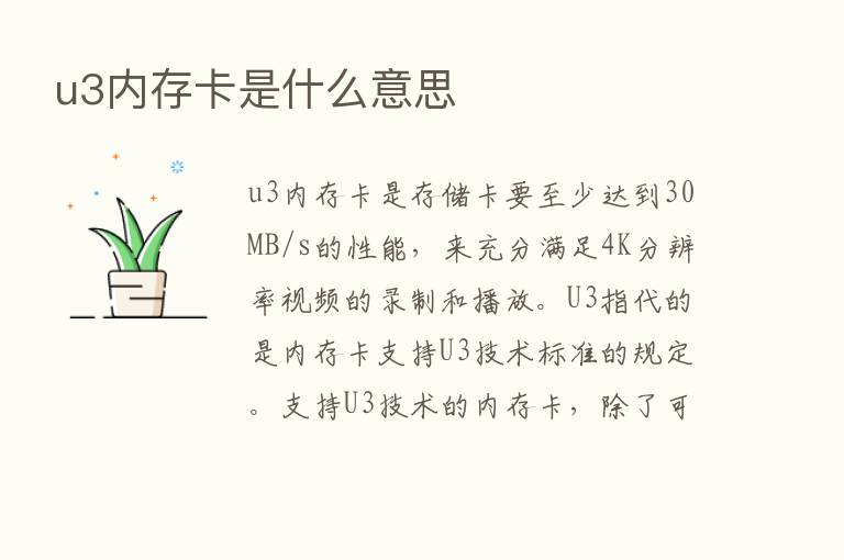 u3内存卡是什么意思