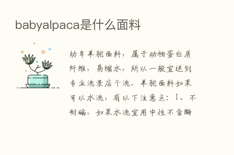 babyalpaca是什么面料